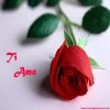 chaime tairi