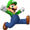 luigi321