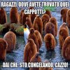 peppe862